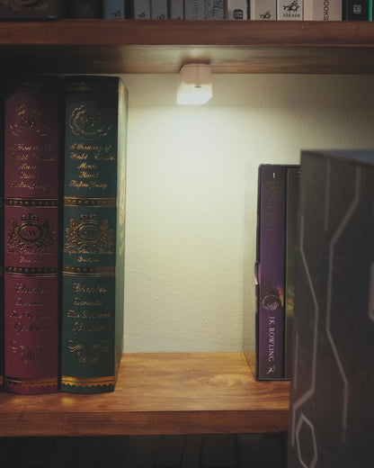 Kowloon Walled City 2049 Book Nook Kit